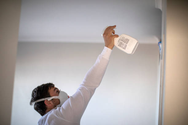 Attic Mold Removal in Clementon, NJ